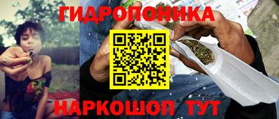 альфа пвп Владикавказ