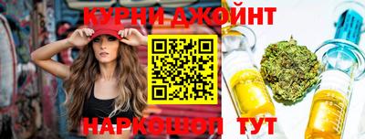 альфа пвп Владикавказ
