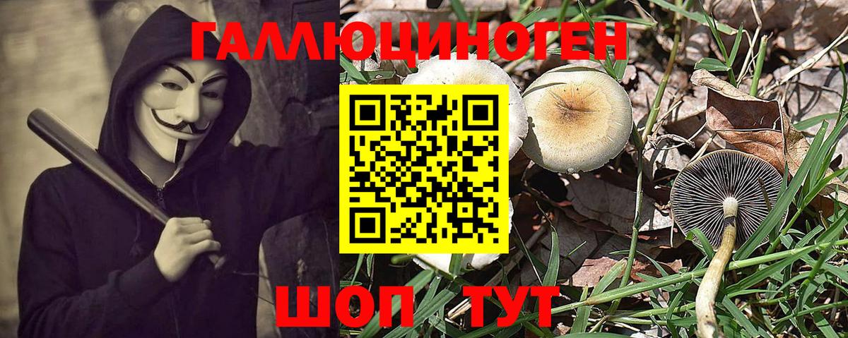Псилоцибиновые грибы Cubensis  Галлюциногенные грибы GOLDEN TEACHER  Архангельск  Вход с VPN 